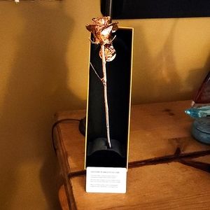 Real Long Stem Rose dipped in 24 Carat Gold
